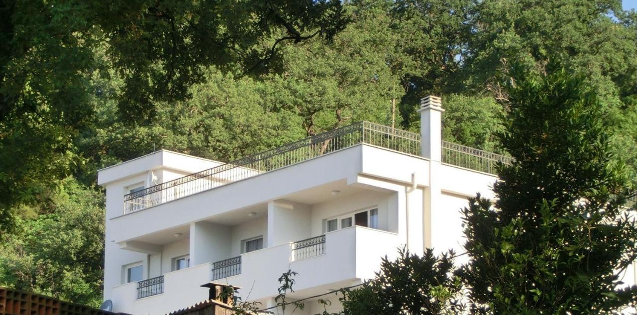 Villa Slovenika بودفا المظهر الخارجي الصورة